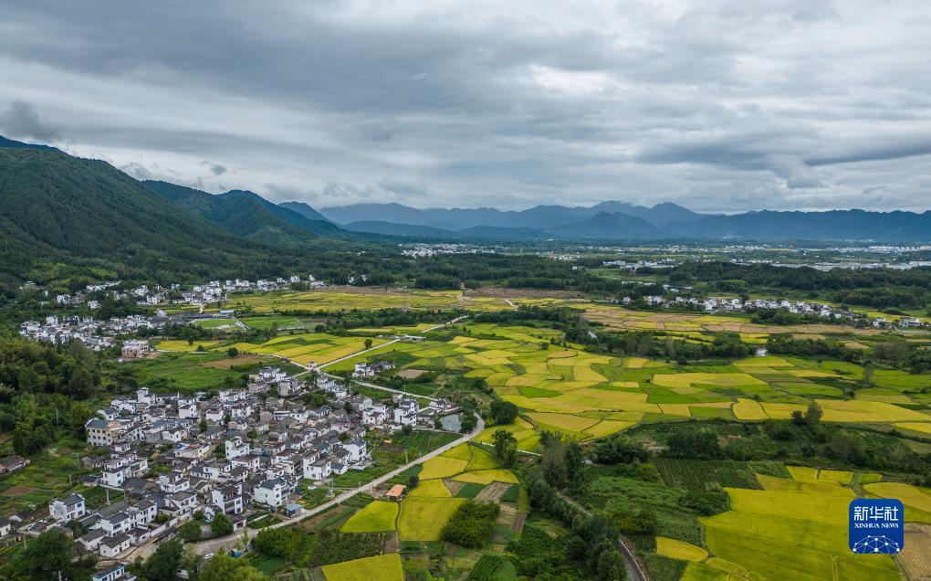 富狗娱乐app